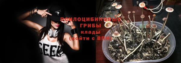 марихуана Заводоуковск