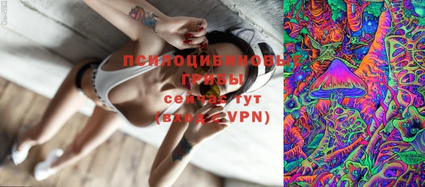 марихуана Заводоуковск