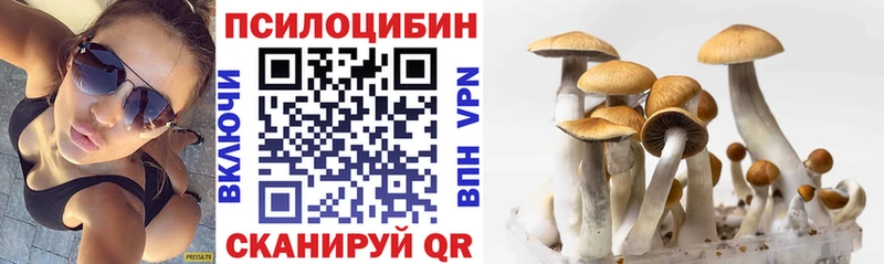 Галлюциногенные грибы Magic Shrooms  Купить где  Кореновск 